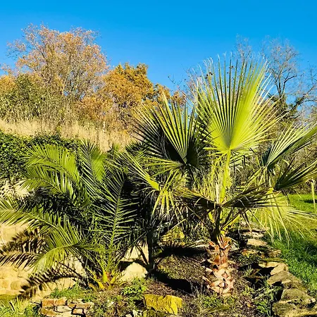 Le 24 Proche Du Futuroscope - Jacuzzi Compris 4*