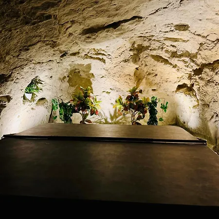 Le 24 Proche Du Futuroscope - Jacuzzi Compris Gasthuis Beaumont (Vienne)