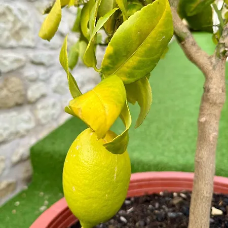 Le 24 Proche Du Futuroscope - Jacuzzi Compris Gasthuis 4*