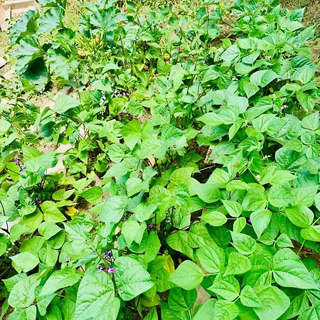 Gasthuis Le 24 Proche Du Futuroscope - Jacuzzi Compris Beaumont (Vienne)