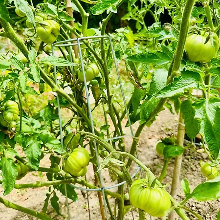 Le 24 Proche Du Futuroscope - Jacuzzi Compris