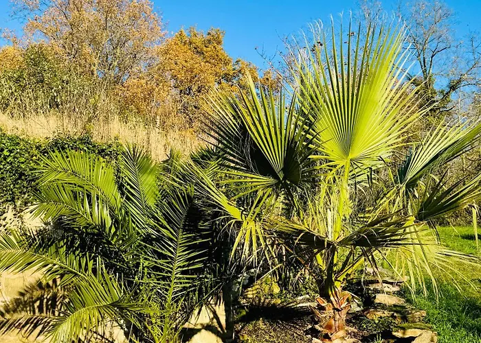 Le 24 Proche Du Futuroscope - Jacuzzi Compris 4*