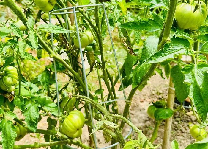 Le 24 Proche Du Futuroscope - Jacuzzi Compris
