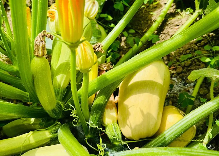 Pensión Le 24 Proche Du Futuroscope - Jacuzzi Compris 4*